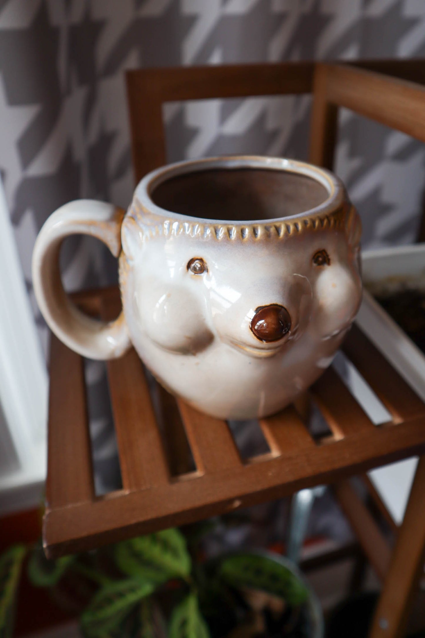 Porcupossum Mug