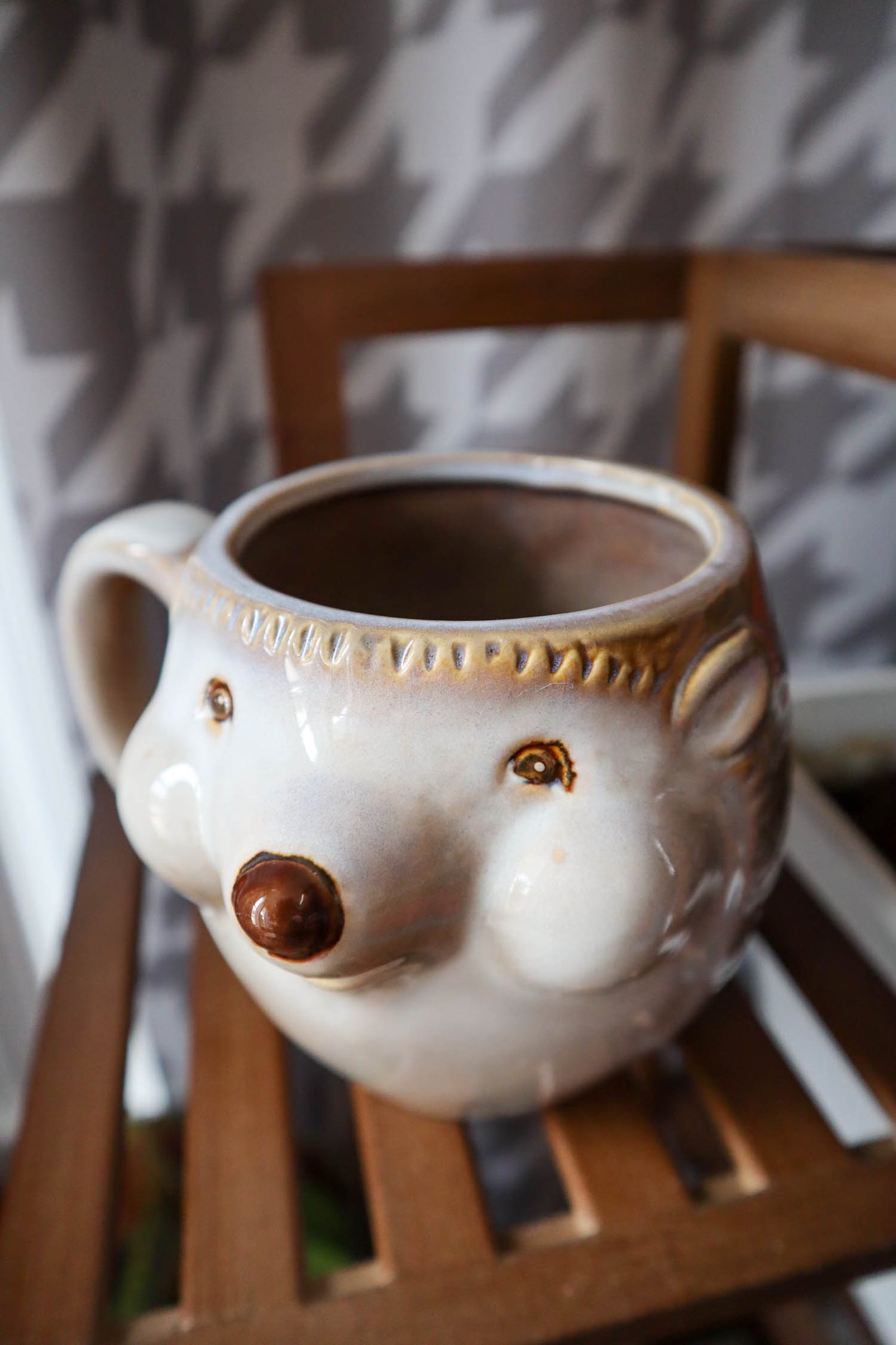 Porcupossum Mug