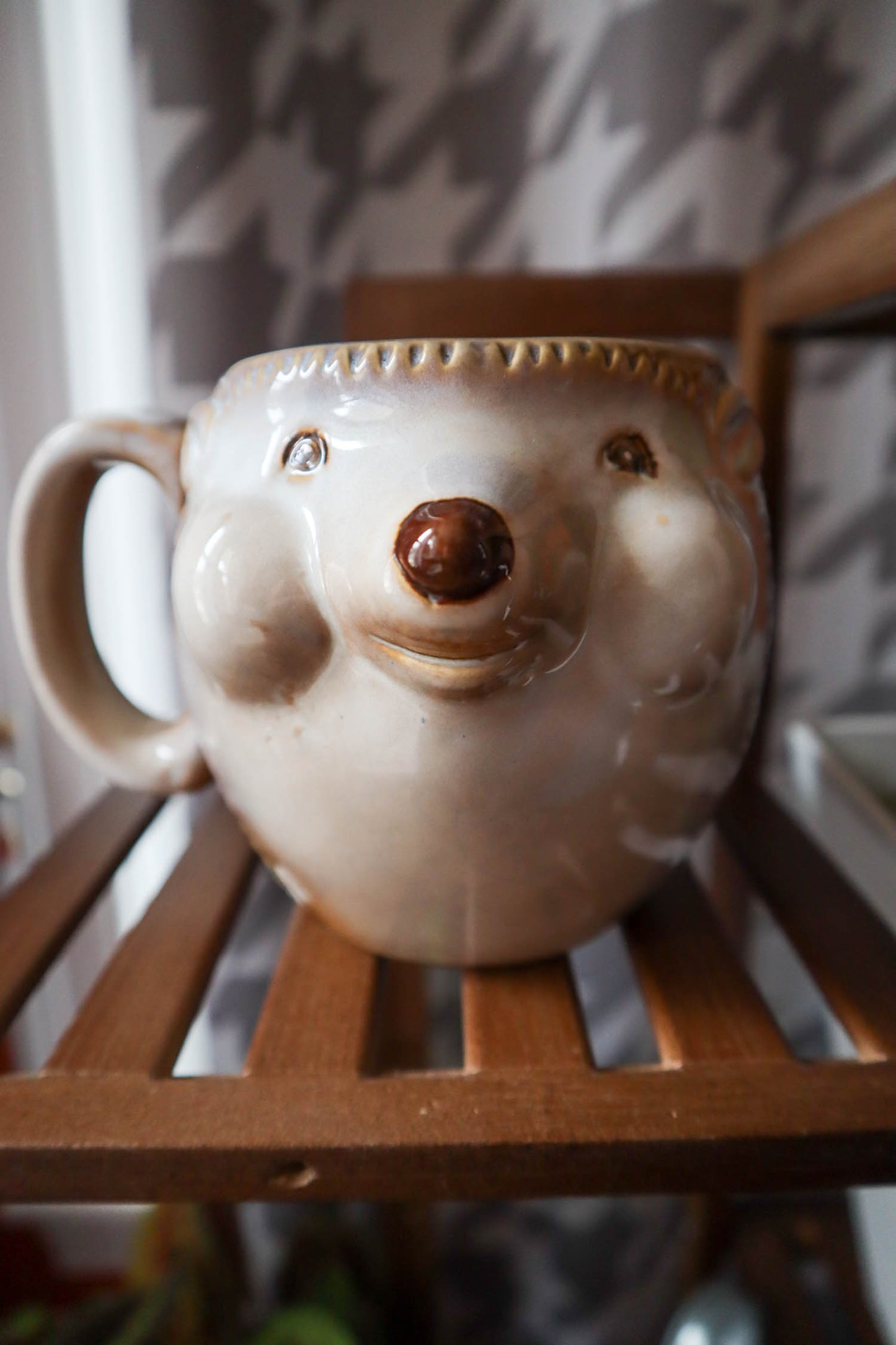 Porcupossum Mug