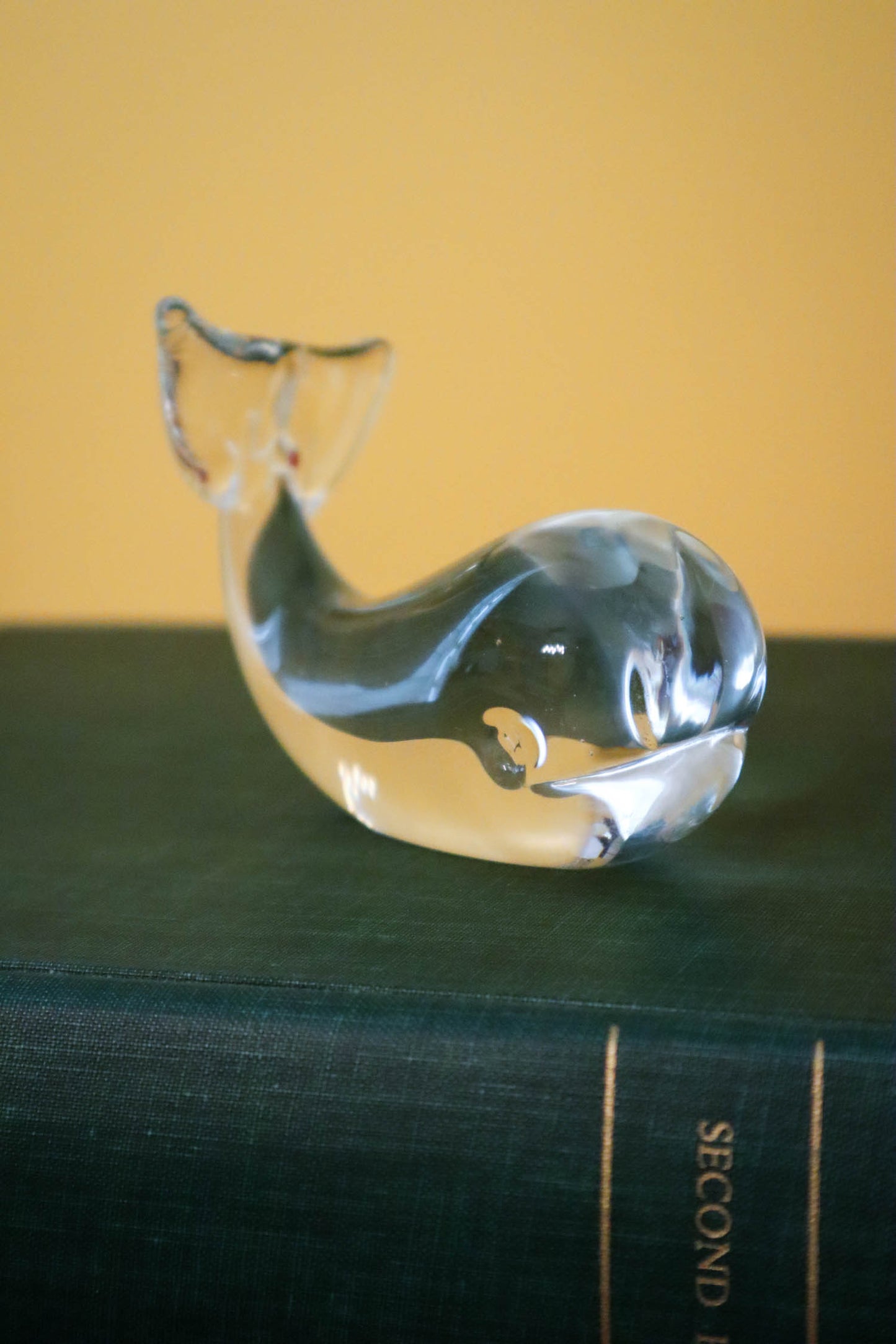 Clearly a Whale Paperweight