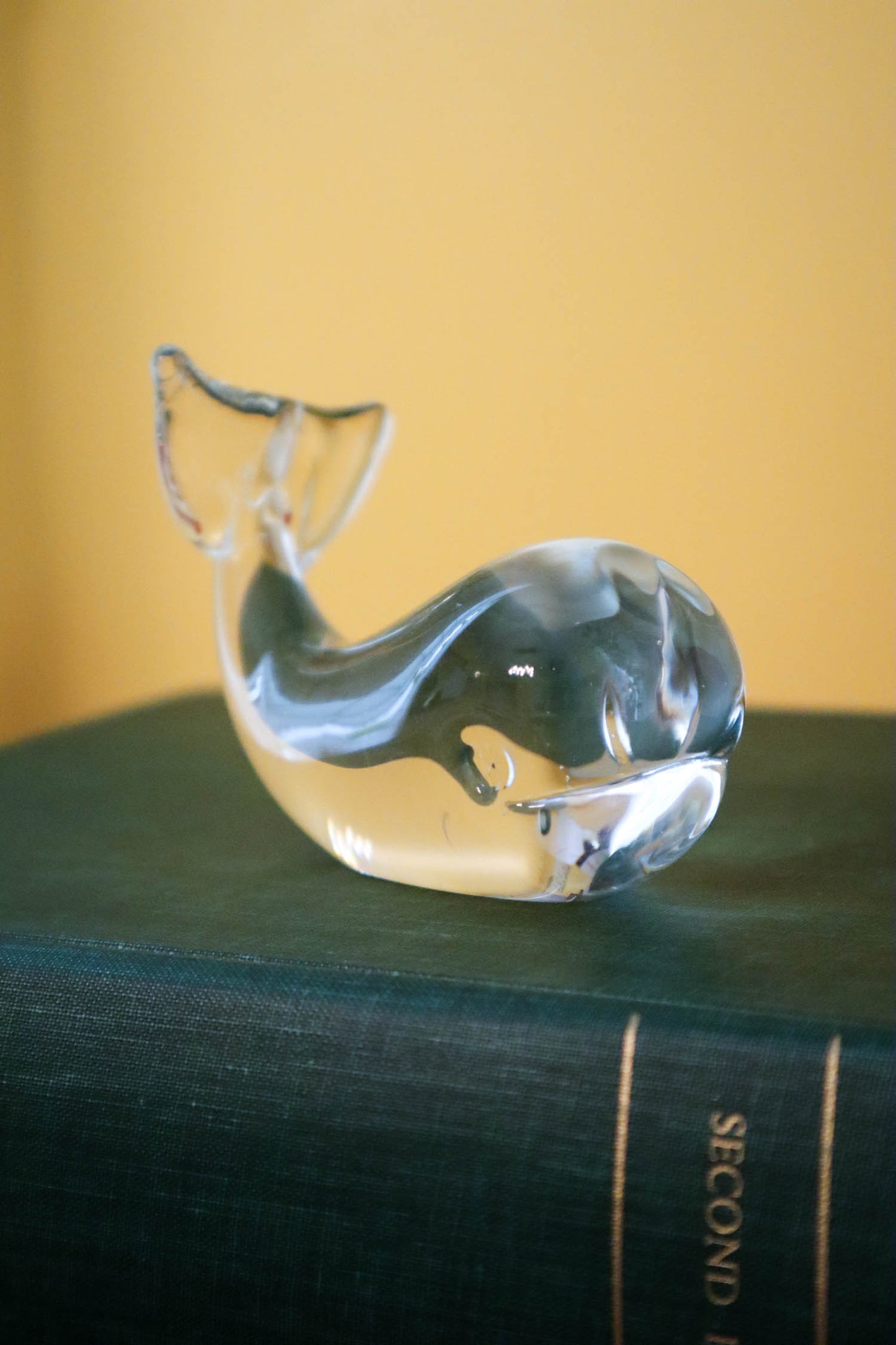 Clearly a Whale Paperweight