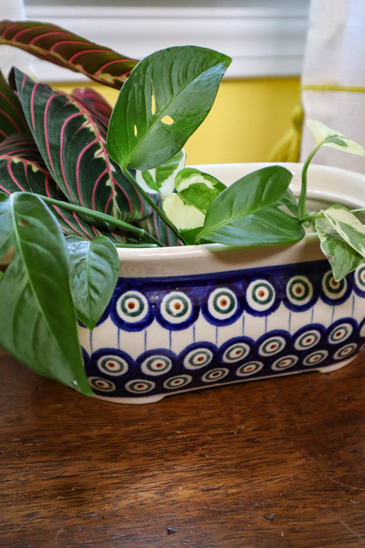 Pretty as a Peacock Polish Pottery Planter