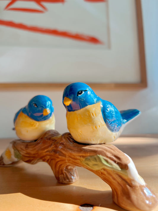 Salt & Pepper Songbirds