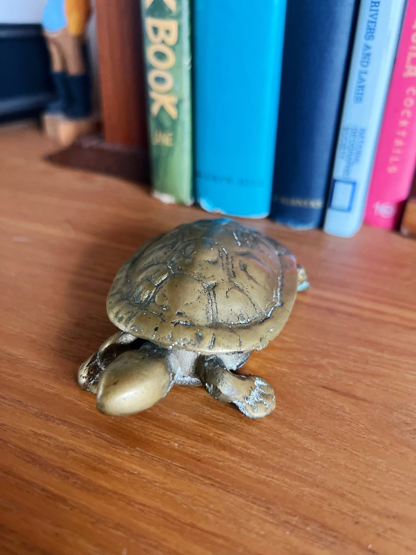 Hide in Your Shell Turtle Trinket Box