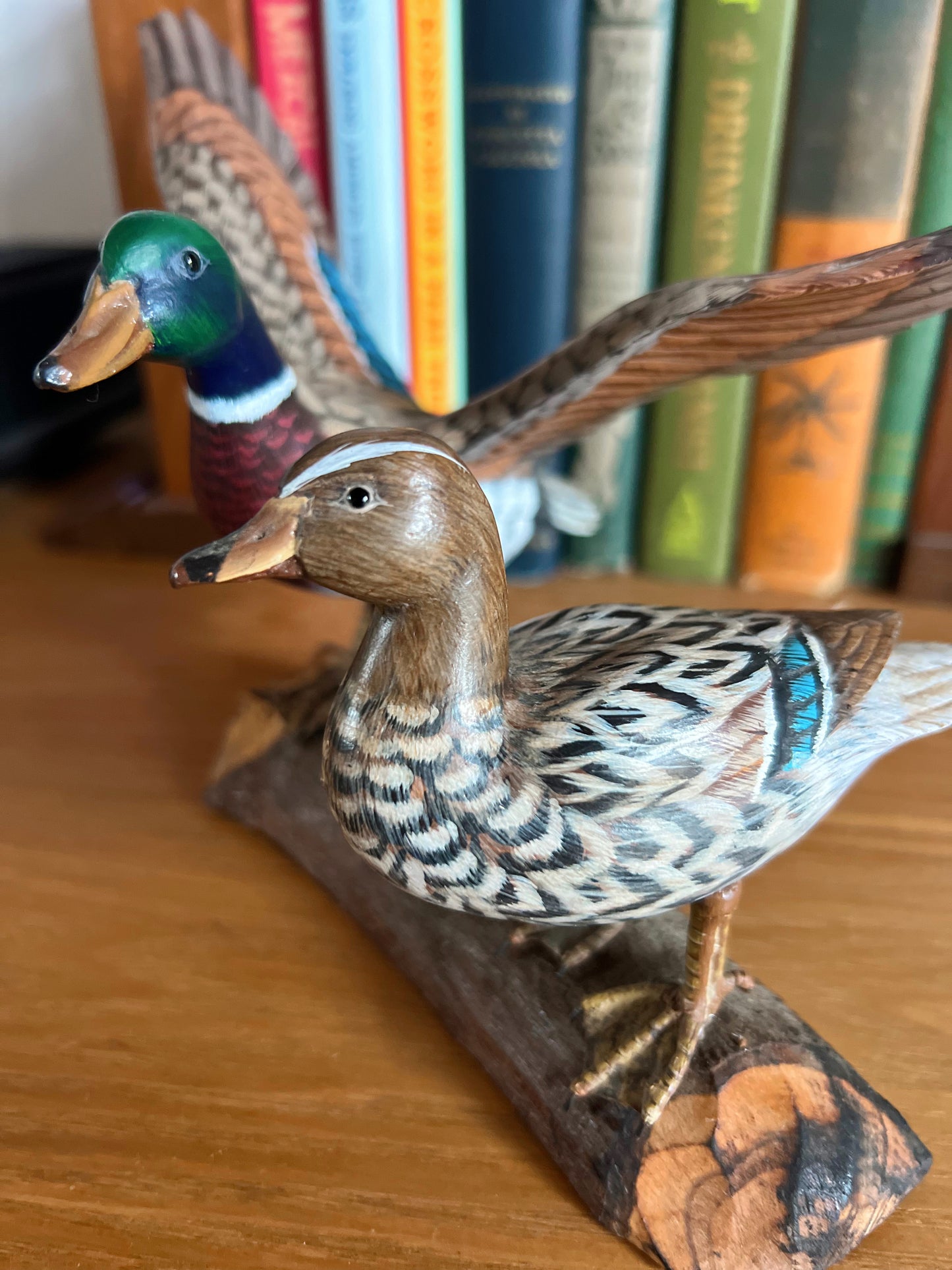 Mallard Duck Duo