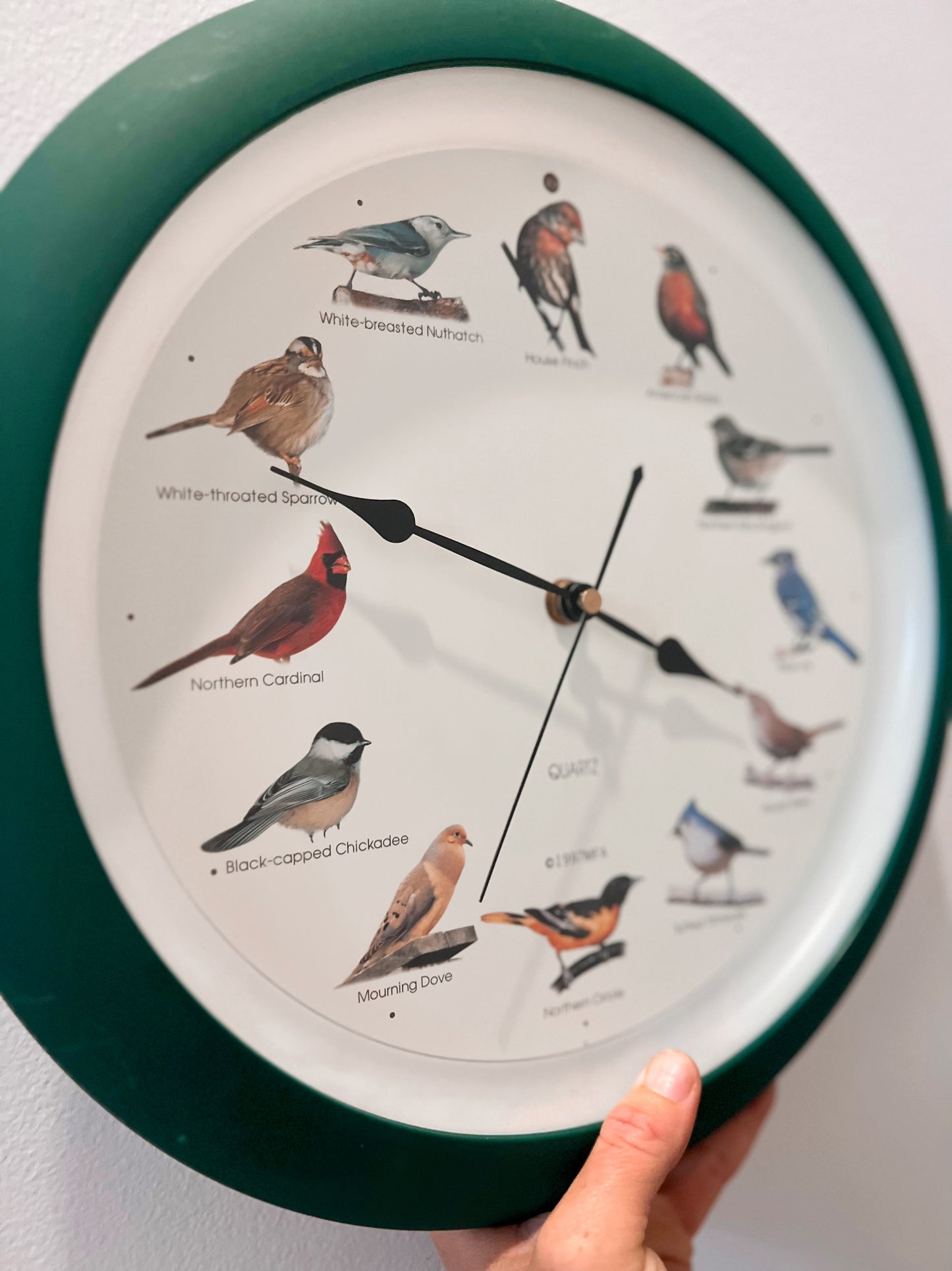 Singing Songbird Clock