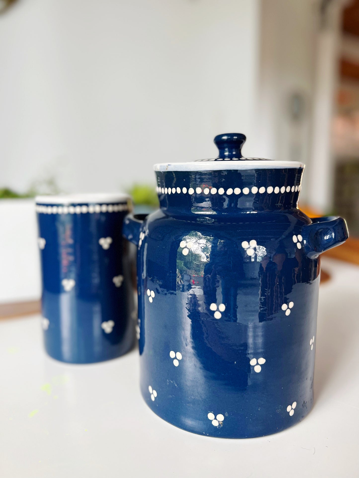 Hungarian Indigo & Dot Kitchen Crocks