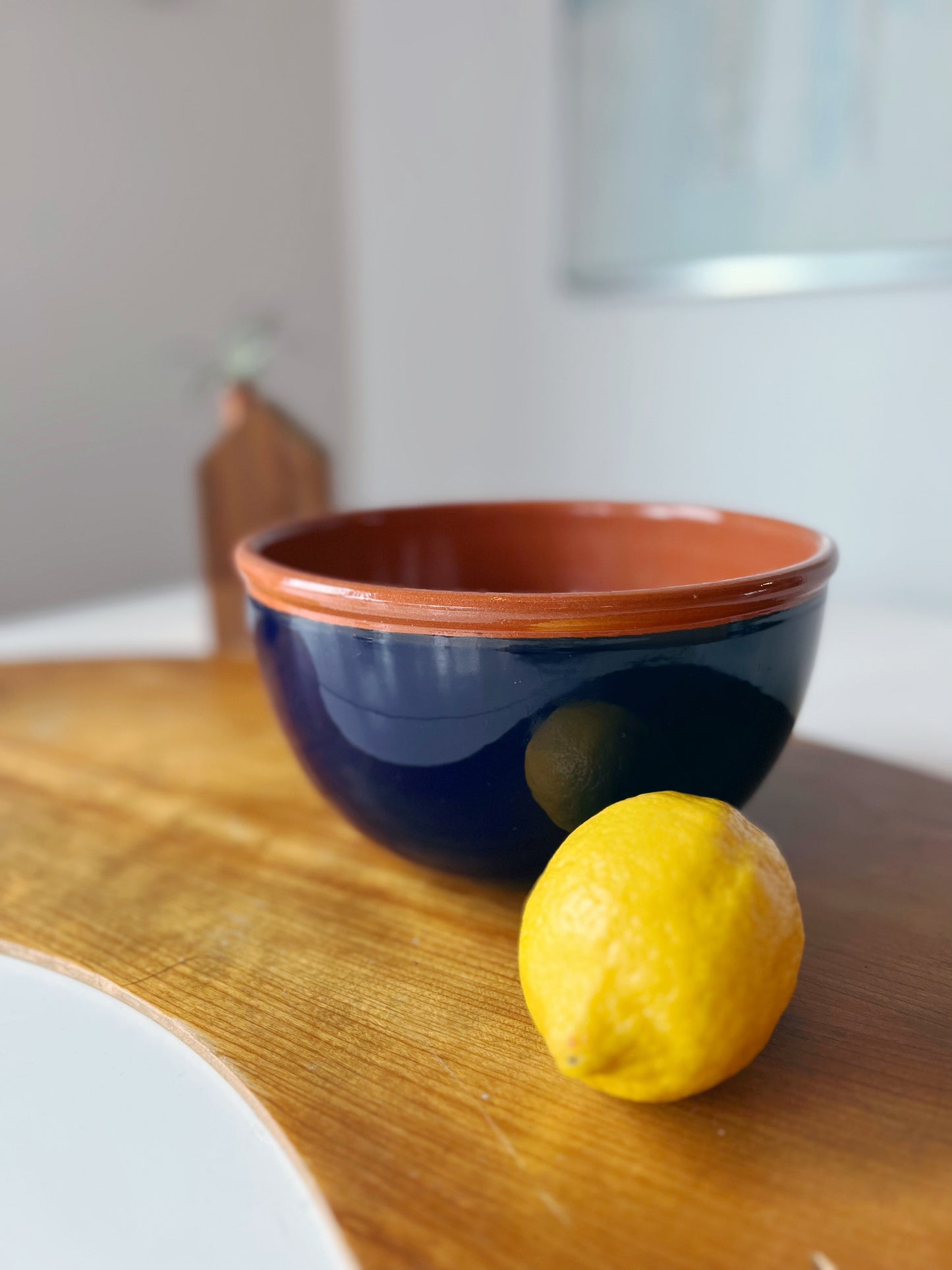 Cobalt & Terracotta Mix Up Bowl