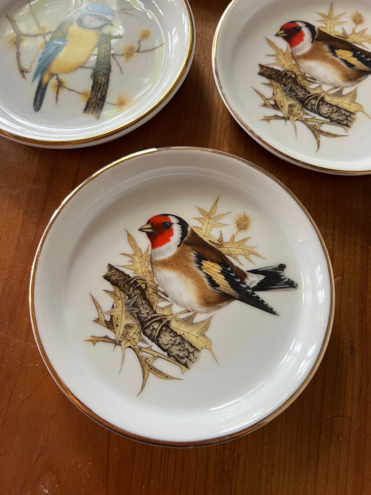 Put a Bird On It Coasters