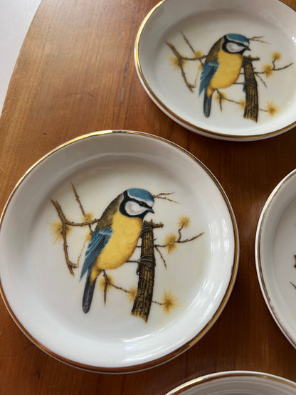 Put a Bird On It Coasters