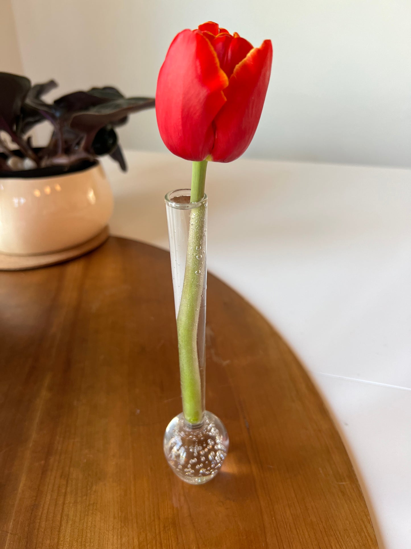 Simplistic Bud Vase