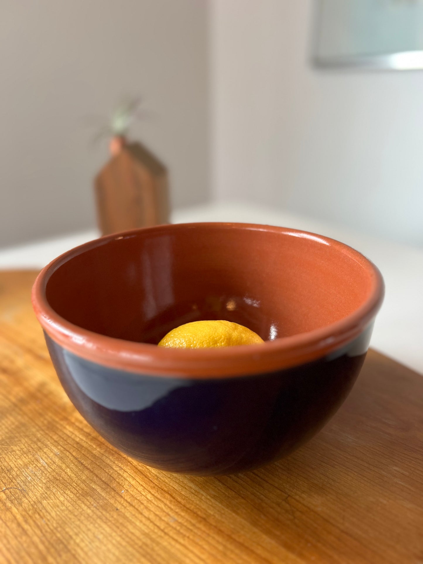 Cobalt & Terracotta Mix Up Bowl