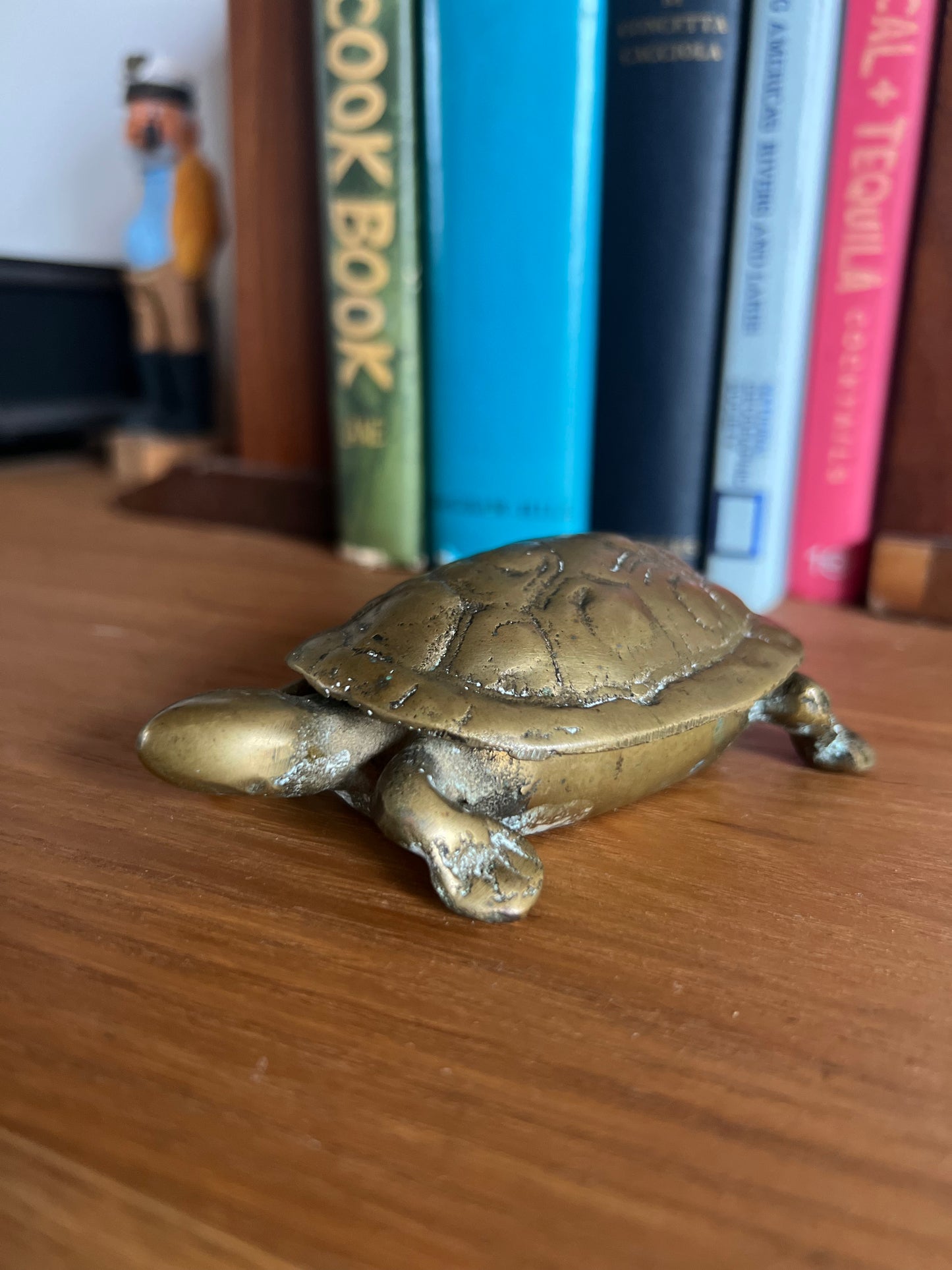 Hide in Your Shell Turtle Trinket Box