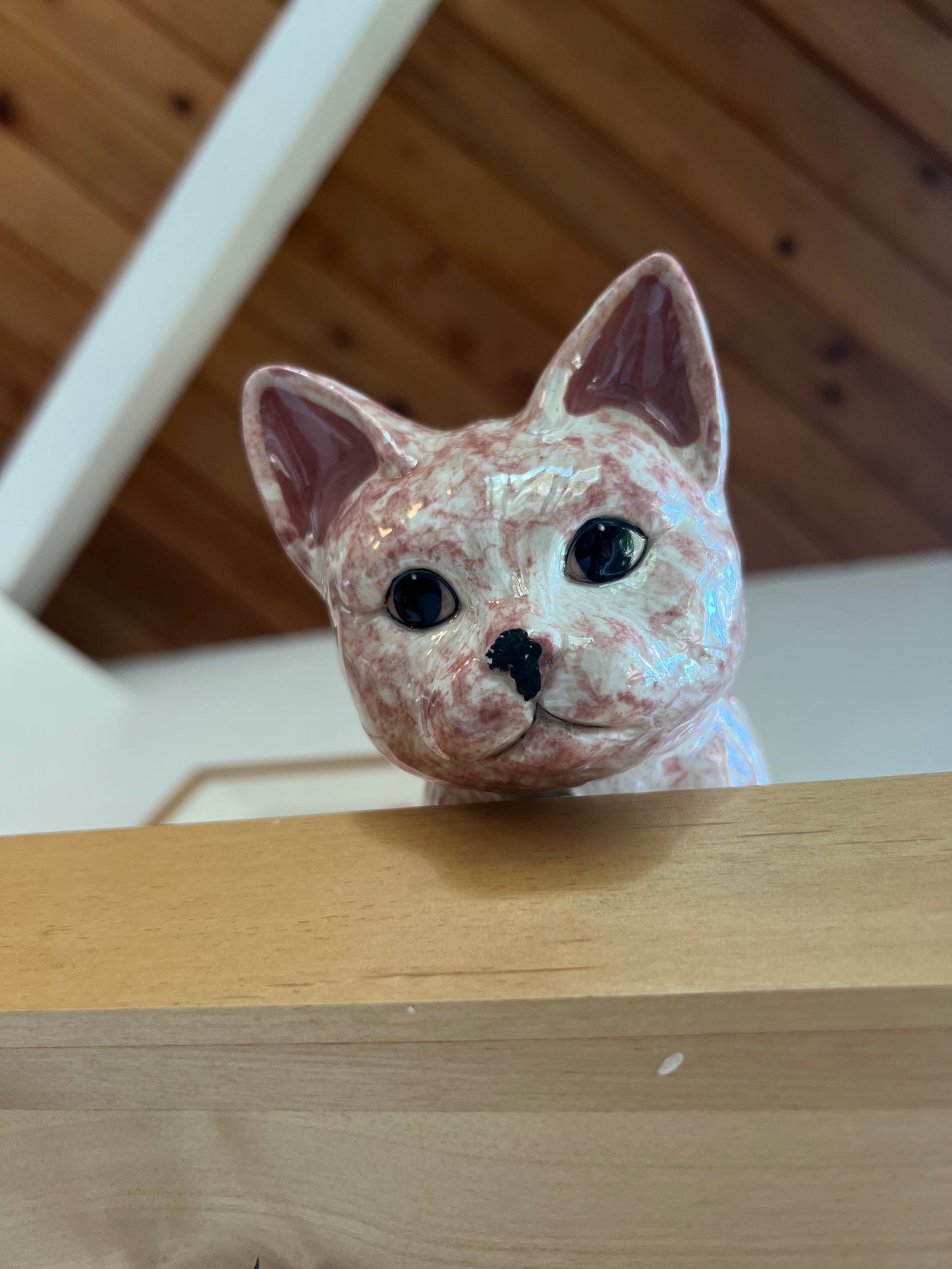 Ceramic Ledge Cat