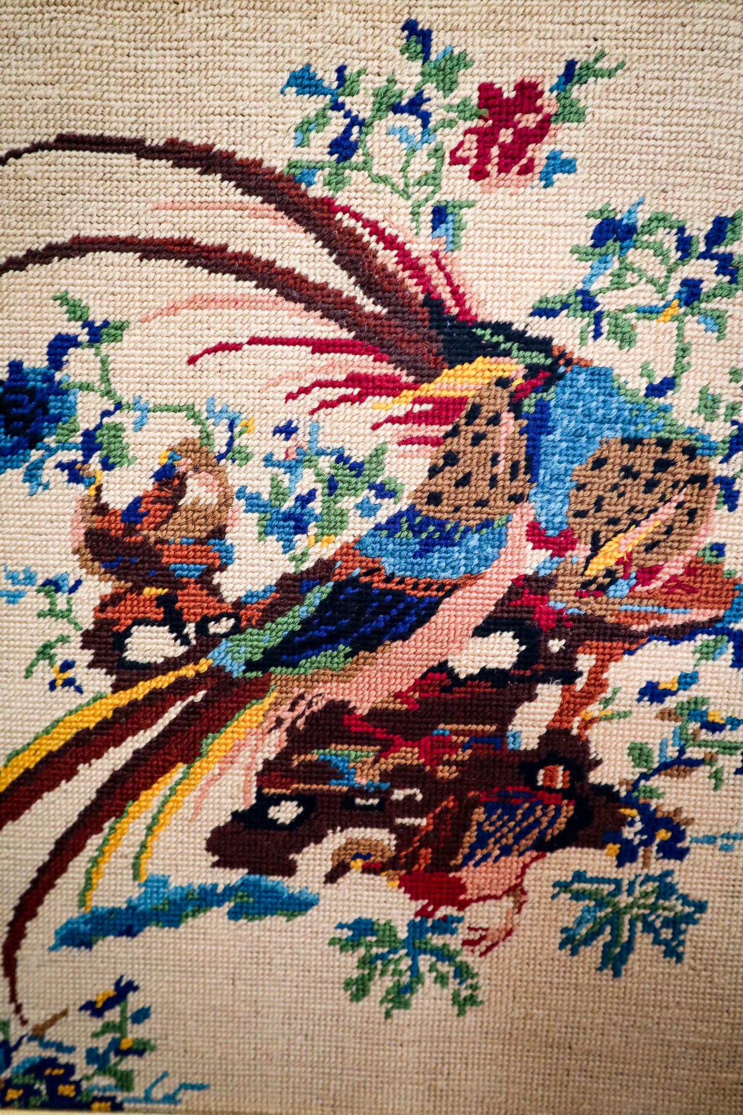 A Cozy Roost Needlepoint Art