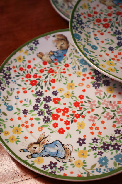 Peter Cottontail Plates