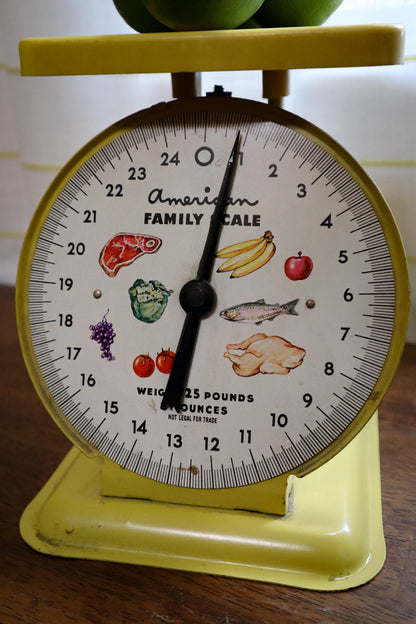 Weigh Fun Kitchen Scale