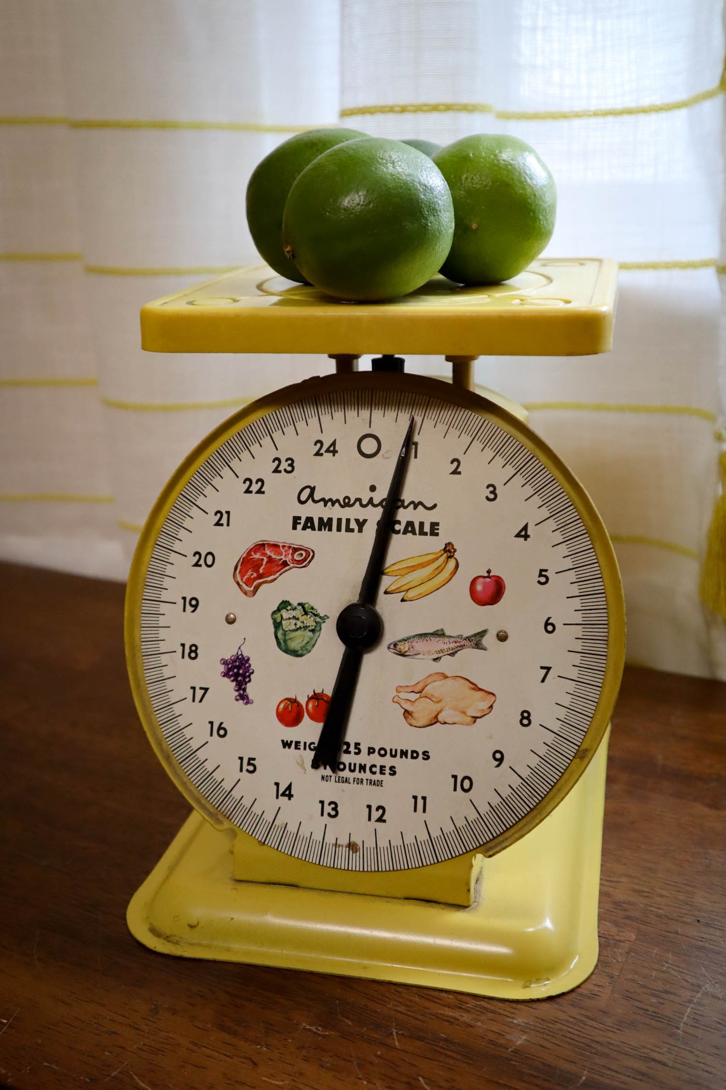 Weigh Fun Kitchen Scale