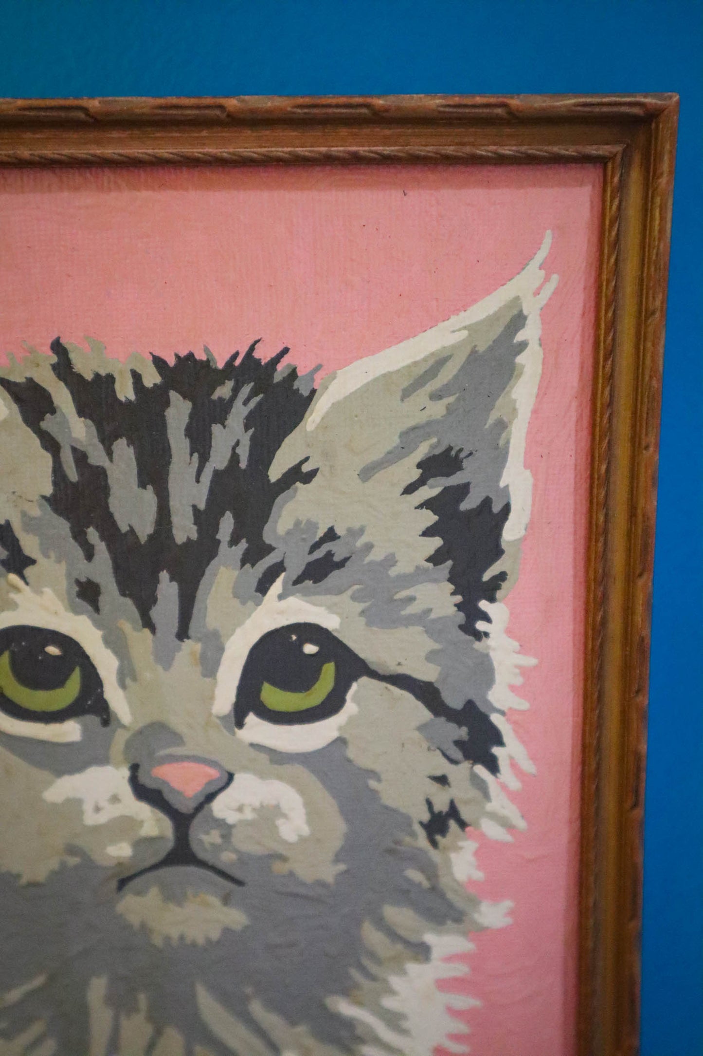 Kitten Kitsch Framed Paint by Number Portrait