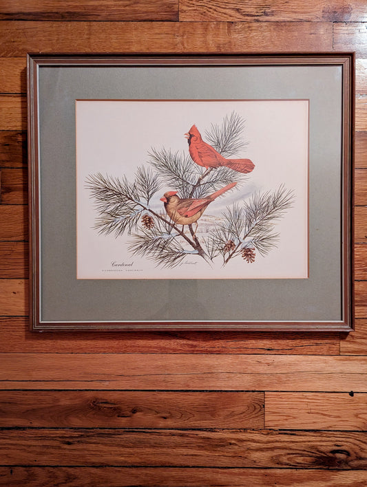 Winter Birding Framed Art