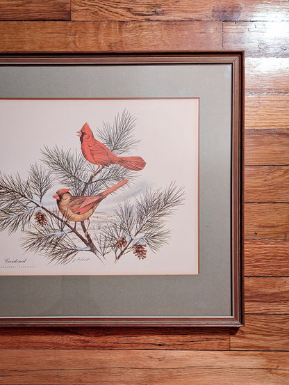 Winter Birding Framed Art