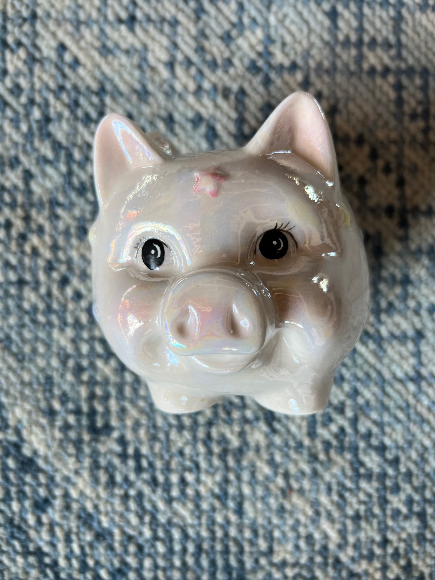 When Pigs Fly Piggy Bank