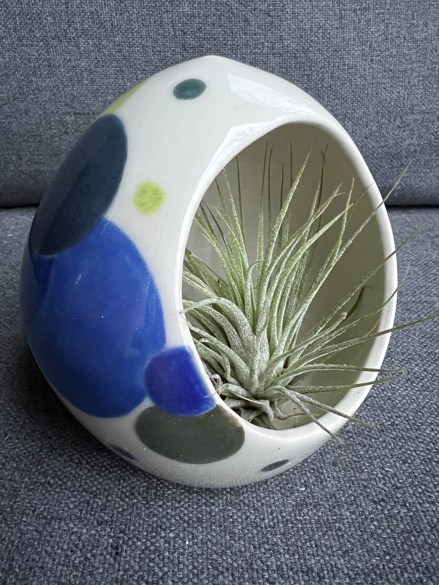 Polka Dot Pot